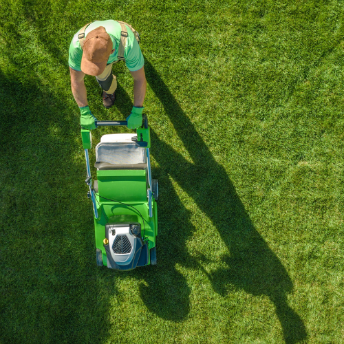 lawncare